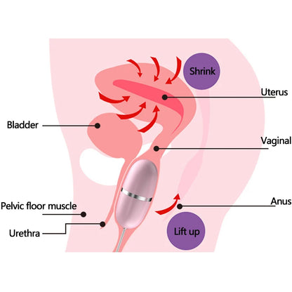 Vibrador Multivelocidad | Huevo | Rosado / Morado | Silicona / ABS | CJS-VI-33