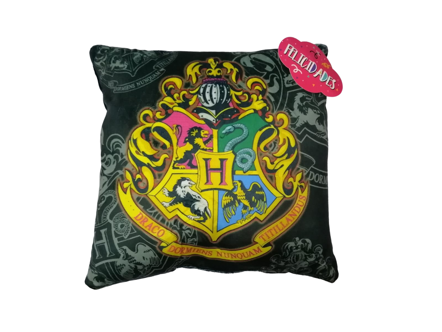 Almohada Harry Potter | Hogwarts | 30cm x 30cm | CZG-AL-63